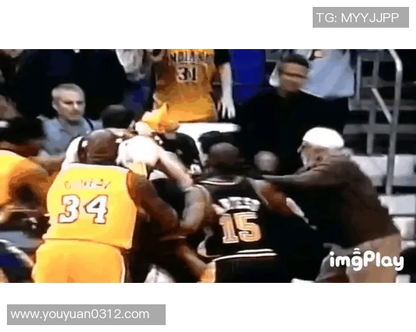 湖人对阵步行者精彩赛事无插件视频直播全程回顾与分析